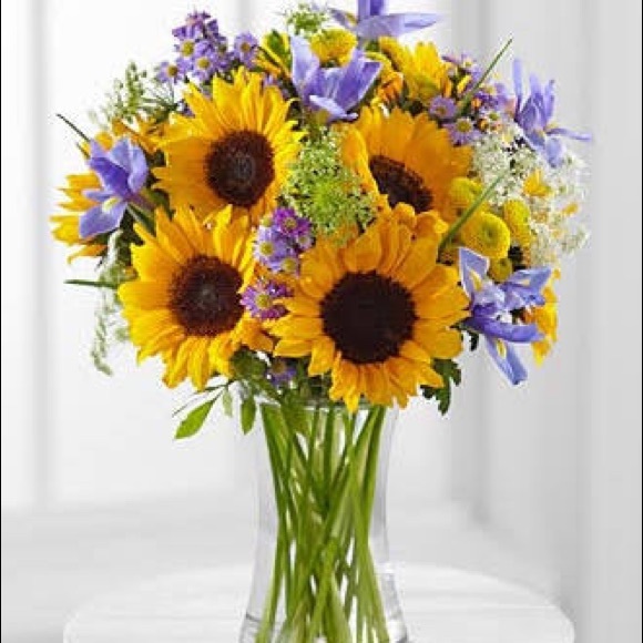 Meet your Posher, Matt - Picture 1 of 1